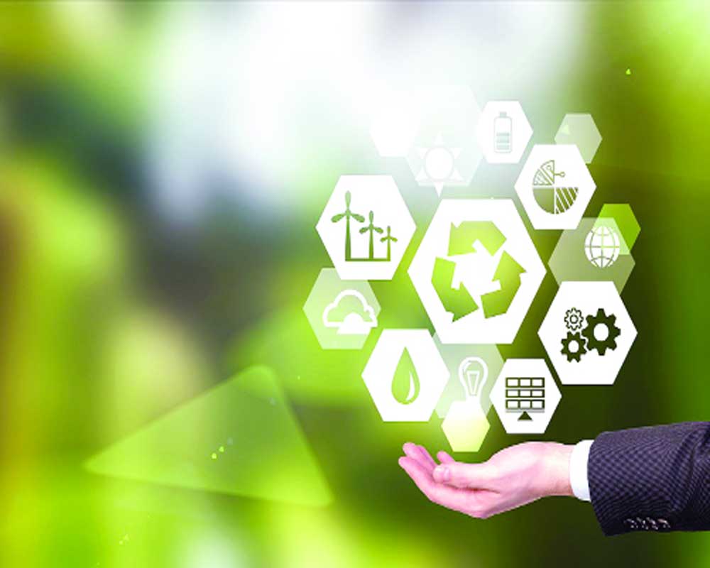 empresa sostenible responsabilidad sobre recursos naturales y desechos